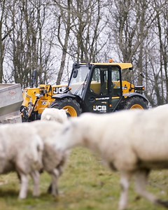 7K views · 164 reactions | 80 years of #JCB innovation. Here’s to 80 more. | JCB | Facebook