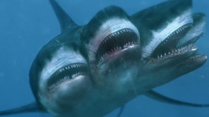 17 reactions · 3 comments | The only thing more terrifying than a...