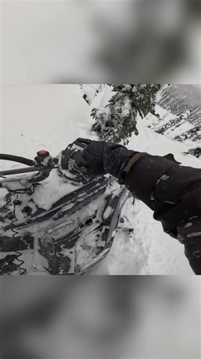 BC SLEDDING DAY 8 pt5 : FRISBY RIDGE FIRST RIDE! #polaris #subscribe #fyp #revelstoke #snowmobile