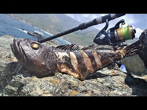 How to CATCH and Cook Whole Fish on an Open Flame