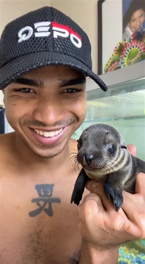 Mini León Marino: Un Espectáculo Único