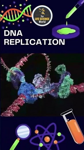 DNA Replication I DNA Polymerase I Leading and Lagging Stand I Molecular Biology #molecularbiology