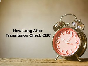 How Long After Transfusion Check CBC (And Why)?