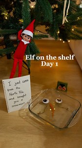 120K views · 1.7K reactions | Are you ready for the elf on the shelf...
