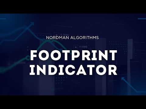 NinjaTrader FootPrint Indicator Overview
