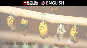 Morphological Processes - Inflection, Derivation, Compounding - Prospero English