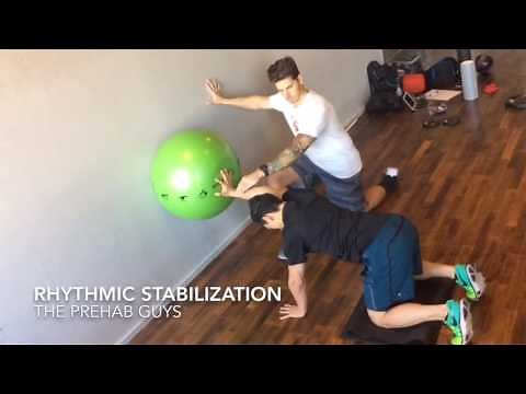Quadruped Rhythmic Stabilization
