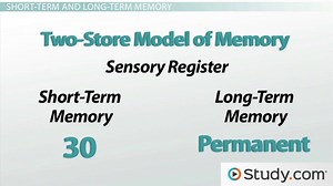 Dual Store & The Multi Store Model of Memory | Types & Examples - Video | Study.com