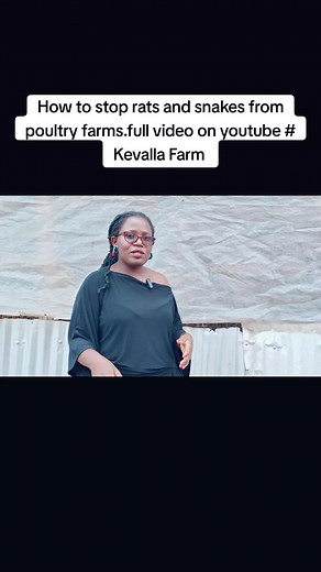 Preventing Rats and Snakes in Poultry Farming