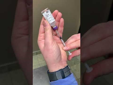 Giving Your Dog Insulin