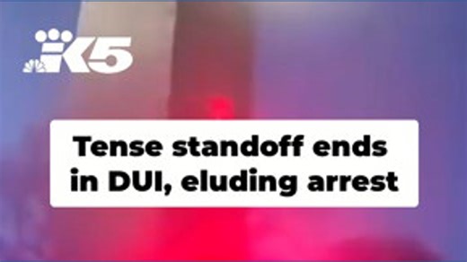 DUI suspect leads deputies on high-speed chase, standoff ends in arrest