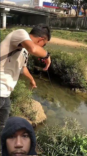 shooting fish