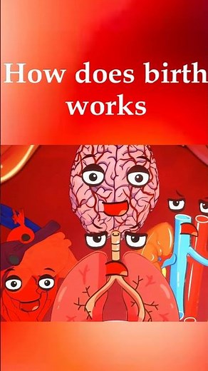 The stage of labor #animation #funny #pregnancy