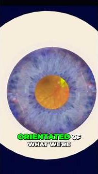 YAG Capsulotomy: See the Satisfying Laser Eye Surgery