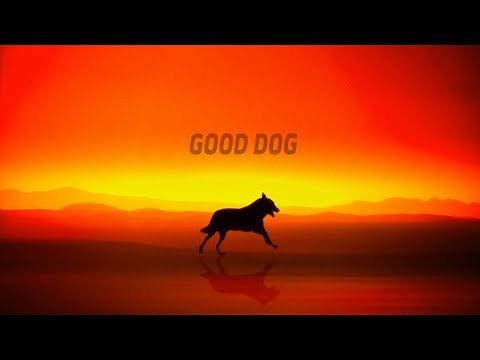 Movie Studio/Company Logos Compilation 5