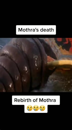 Heartbreaking Death of Mothra in Godzilla Movie Scene