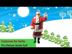 Costumes For Santa: Professional Deluxe Santa Suit