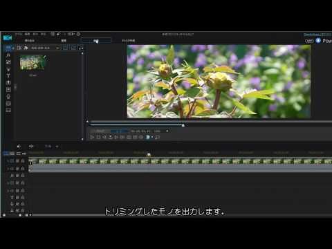 動画の画面切り抜き（トリミング）方法 （Power Director 15）