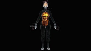 Brain, Think, Nervous System