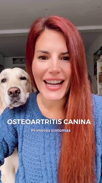 Early Signs of Osteoarthritis in Dogs You Shouldn't Ignore