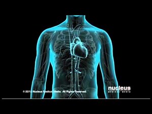 Coronary Angiogram