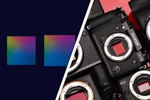 Camera Sensor Size: The Definitive Guide To Camera Sensors