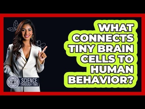 What Connects Tiny Brain Cells To Human Behavior? - Science Through Time