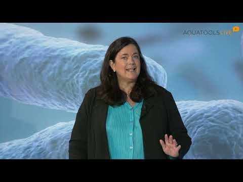 Legionella risk: how to secure water in hospitals and public buildings I AQUATOOLS Webinar