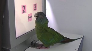 37K views · 744 reactions | In the branch of the Max Planck Institute...