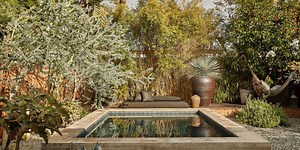 You Don’t Need a Big Pool. This Perfect Little Garden Proves Why.