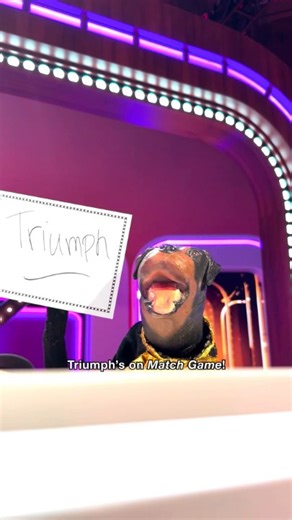 20K views · 181 reactions | #MatchGame is going to the dogs!  Watch an all-new episode Wednesday at 9/8c on ABC and stream on Hulu. | Match Game on ABC | Facebook