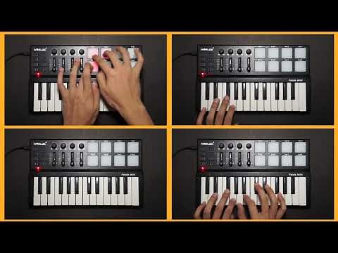 Worlde Panda mini Portable Mini 25-Key USB Keyboard and Drum Pad MIDI Controller