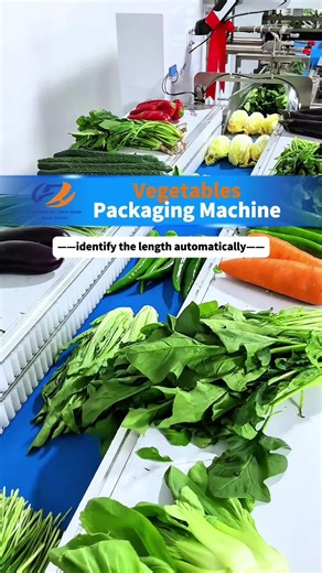 Automated Vegetable Packaging Machine Overview