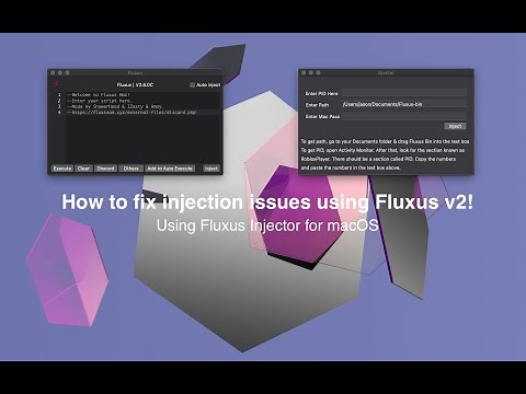 Fluxus v2 | How to fix injection issues!