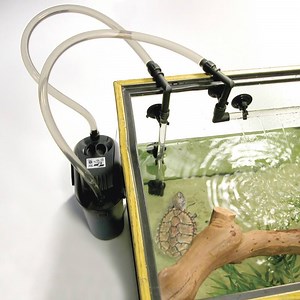 12 Best Canister Filters (Winter 2025)