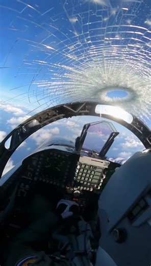 Cockpit GoPro — huge bird slams directly into canopy at high speed #jet #crash #fighter