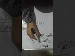 Primary Key And Foreign Key In ERD