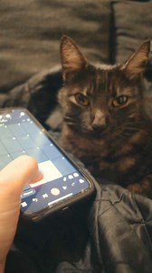 116K views · 15 reactions | Make music without barriers  Create and connect with a global community shaping the future of music - all on our free app! | BandLab | Facebook