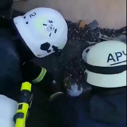 106K views · 5.7K reactions | Video shows crews rescuing a cat from the a pile of rubble amid ongoing strikes in Ukraine. Credit: SES of Ukraine via Storyful | Fox 8 News | Facebook