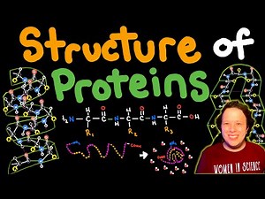 Understanding Protein Structure: Primary, Secondary, Tertiary, and Quaternary | Biochemistry Basics