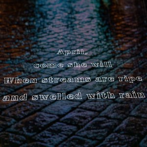 47K views · 2.8K reactions | This month in 1965, 'The Paul Simon Songbook' was released as a UK-only album while Paul was touring and living in England. Recorded in London, the Songbook featured his solo renditions of several songs which were later recorded and released as a duo by Simon & Garfunkel. Check out this early version of Paul singing “April Come She Will." | Paul Simon | Facebook
