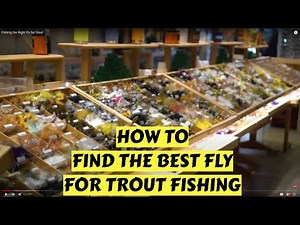 Picking the Right Fly for Trout | How To Choose