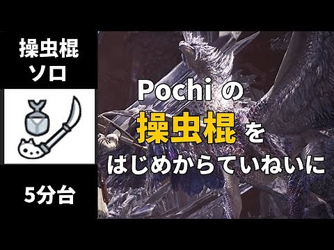【MHWI】歴戦王イヴェルカーナ 操虫棍 ソロ 5分台【非火事場】 /Arch Tempered Velhkana Insect Glaive solo【Non Heroic】