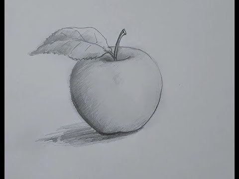 How to draw a realistic Apple with Pencil Sketch with Light and Shades