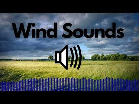 Free Wind Sound Effects (Blowing / Howling) | No Copyright