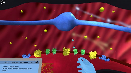 Smooth muscle: Learn how your gut contracts! | Try Virtual Lab