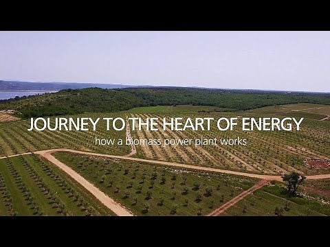 Journey to the heart of Energy - How a biomass power plant works