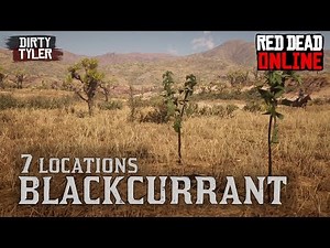 Easy place to find Blackcurrants quickly for the daily challenges