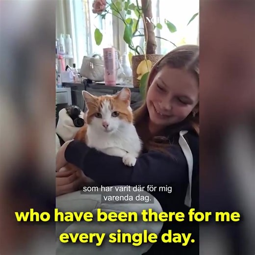 10K views · 276 reactions |  A Swedish court sparked outrage after...