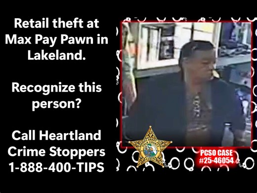 Polk County Sheriff's Office on Instagram: "CRIME: RETAIL THEFT CRIME SCENE: MAX PAY PAWN, 646 N.COMBEE RD., LAKELAND POLK COUNTY SHERIFF’S OFFICE CASE 25-46054 On Wednesday, November 12, 2025, at approximately 1:40 p.m., a retail theft occurred at Max Pay Pawn ( 646 N Combee Rd in Lakeland). An unknown suspect removed a vehicle diagnostic tool without purchasing. The suspect left the area in a silver Hyundai Veloster. If you have any information about this crime, or you recognize the suspect, p